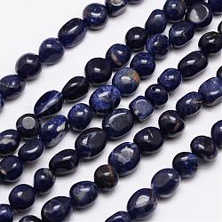 Sodalite naturale fili di perle, pietra burrattata, pepite, 9~11x9~11mm, Foro: 1 mm, circa 15.74 pollice