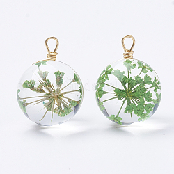 Pendentifs en verre, avec fleurs séchées à l'intérieur et accessoires en laiton, ronde, or, vert de mer moyen, 16~17x12x11mm, Trou: 1.5~2mm