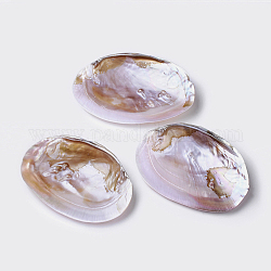 Decorazione di conchiglie di perle d'acqua dolce naturale, 135~170x95~110x30~40mm