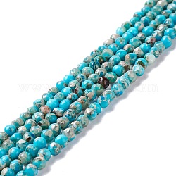 Regalite naturelle / jaspe impérial / perles de jaspe de sédiments marins, teinte, ronde, bleu ciel, 3mm, Trou: 0.8mm, Environ 140 pcs/chapelet, 15.94'' (40.5 cm)