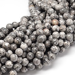 Fili di perle di pietra mappa naturale, tondo, perline di diaspro picasso, 6mm, Foro: 1 mm, circa 62pcs/filo, 15.7 pollice