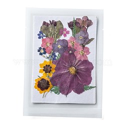 Fleurs séchées pressées, pour téléphone portable, Cadre photo, scrapbooking bricolage et résine art décors floraux, 145x125x0.3mm