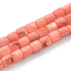 Eau douce naturelle de coquillage perles brins, teinte, colonne, Saumon, 4~5.5x5mm, Trou: 0.6mm, Environ 74~75 pcs/chapelet, 14.76~14.96 pouce (37.5~38 cm)