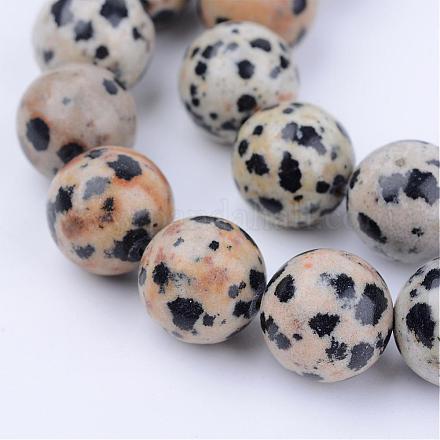 Chapelets de perles en jaspe dalmatien naturelle G-Q462-4mm-30-1