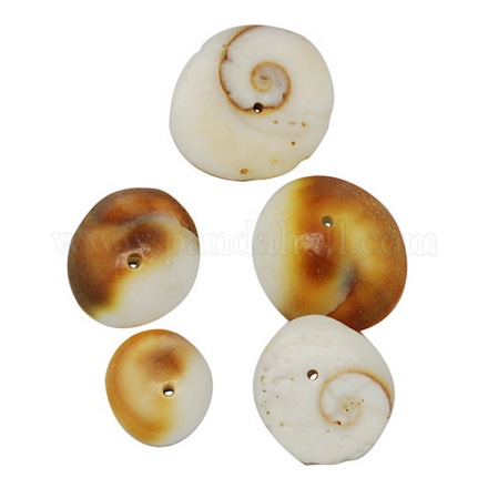 Perle naturali di conchiglie di shiva X-BSHE-S113-1