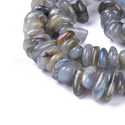 Natural Labradorite Beads Strands X-G-I225-15A-1