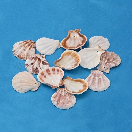 Бусины из натуральных раковин морского гребешка BSHE-S108-1
