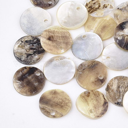 Encantos naturales de conchas de akoya SHEL-T012-42B-1