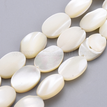 Chapelets de perles de coquille de trochid / trochus coquille SSHEL-Q298-16-1