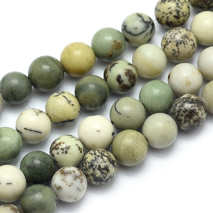 Chapelets de perles de jaspe dendritique naturelle G-E501-6mm-01-1