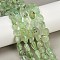 Natural Prehnite Beads Strands, Nuggets, 8~15x7~12x4~12mm, Hole: 1mm, about 30~45pcs/strand, 15.7