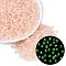 FGB Grade A Transparent Glass Seed Beads, Rondelle, Luminous Glow in the Dark, Center Dyed, Faceted, PeachPuff, 4x3mm, Hole: 1.2~1.6mm, about 6081pcs/pound