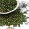 Transparent Colours Glass Seed Beads, Round Hole, Oval, Olive Drab, 5.5~6x3.5~4mm, Hole: 0.8mm, about 450pcs/50g