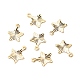 Charms in ottone X-KK-F831-021G-RS-1