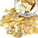 天然のアワビ/パウア貝の雲母の断片  ネイルアートデコレーション  シェルマイカスライス  染め  ゴールド  1~20x1~15x0.5mm MRMJ-N026-001-A01-3