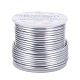 BENECREAT 10 Gauge Jewelry Craft Aluminum Wire 80 Feet Bendable Metal Sculpting Wire for Craft Floral Model Skeleton Making (Silver AW-BC0001-2.5mm-02-1