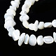 Chapelets de perles de coquille de trochid / trochus coquille SSHEL-N034-78-A01-3