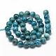 Natural Apatite Beads Strands G-R446-12mm-11-2