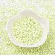 Baking Paint Glass Seed Beads SEED-S042-15B-24-2