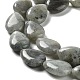 Natural Labradorite Beads Strands G-L242-35-4