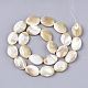 Fili di perle di conchiglia trochid naturale / trochus SSHEL-N032-05-2