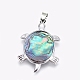 Set abalone shell / paua shelljewelry SJEW-P089-02-2