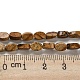Chapelets de perles en jaspe avec images naturelles G-M420-H10-03-5