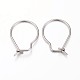 304 Stainless Steel Hoop Earrings Findings STAS-P186-04P-2