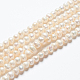 Fili di perle di perle d'acqua dolce coltivate naturali A23WT011-5