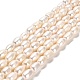 Natural Cultured Freshwater Pearl Beads Strands PEAR-E016-195-1