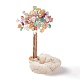 Chips de piedras preciosas naturales y decoraciones de exhibición de pedestal de cristal de cuarzo natural DJEW-G027-12RG-02-1