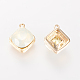 Alloy Charms PALLOY-S092-76-1