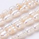 Natural Cultured Freshwater Pearl Beads Strands PEAR-P002-40-1