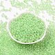6/0 Glass Seed Beads SEED-T006-04F-06-2