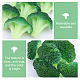 CHGCRAFT 6 Pcs Simulated Food Broccoli Slice Fake Artificial Vegetable Broccoli Decoration Model Lifelike Fake Play Food Home Kitchen Party Decoration Store Market Display 57.5x60x38.5mm AJEW-WH0258-138-5
