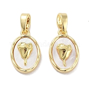 Овальная ракушка из латуни KK-C051-20G