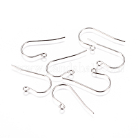 200Pcs 304 Stainless Steel Earring Hooks Ear Wire with Horizontal Loop  17x22mm