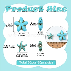 60 Stück 2 Stile synthetische türkisfarbene Perlen gefärbt&nbsp;TURQ-YW0001-03