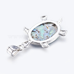 Abalone Shell / Paua Shelljewelry Sets&nbsp;X-SJEW-P089-02