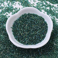 Miyuki Delica Perlen&nbsp;SEED-MY11-DB0175