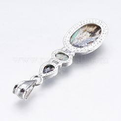 Abalone Muschel / Paua Muschel Anhänger&nbsp;X-SSHEL-P014-19