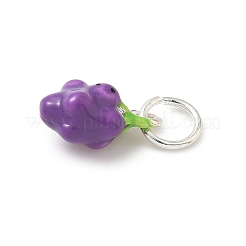 Charms del esmalte de la aleación&nbsp;ENAM-C029-01B-P