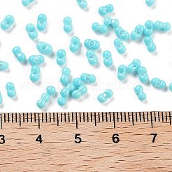 Perle di vetro per la cottura di vernici&nbsp;SEED-A033-04P
