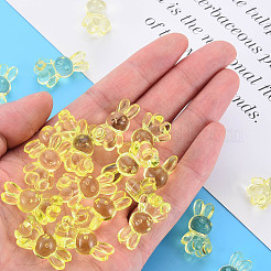 Transparente Acryl Perlen&nbsp;LS-MACR-S373-81-B06