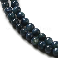 Naturali di acqua dolce perline shell fili&nbsp;SHEL-H003-03C