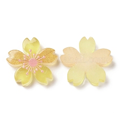 Leucht Harzcabochons&nbsp;RESI-G030-01C