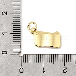 Messing Anhänger & Charms&nbsp;KK-I364-19G