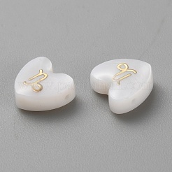 5pcs perles de coquillage blanc naturel&nbsp;BSHE-TAC0004-02L