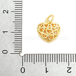 Pendentifs en laiton&nbsp;KK-H073-01C-G