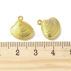 Messing Anhänger & Charms&nbsp;FIND-B046-05G